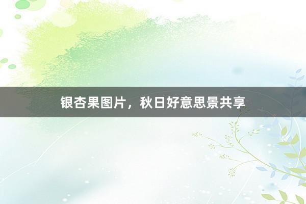 银杏果图片，秋日好意思景共享