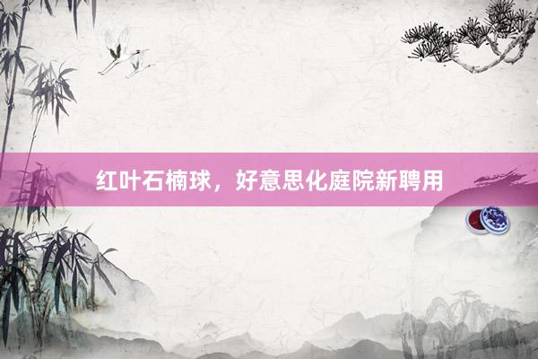 红叶石楠球，好意思化庭院新聘用