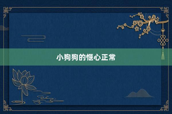 小狗狗的惬心正常