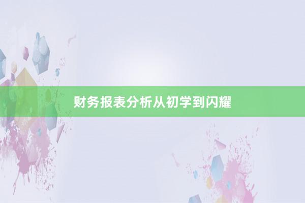 财务报表分析从初学到闪耀